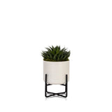 House Plant - Marble Planter with Stand