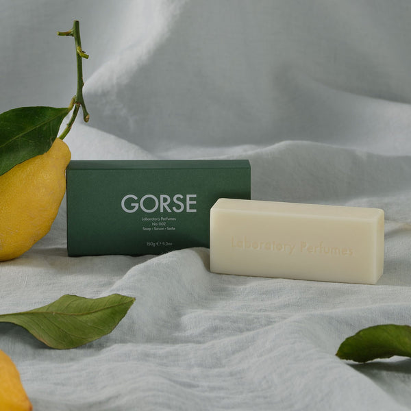 Unisex Hand & Body Soap - Gorse