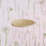 Bamboo Plate - Lacquer Metallic Leaf